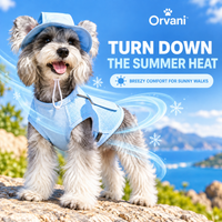 Schnauzer wearing the Sky Blue Orvani BreezePup cooling vest and matching hat